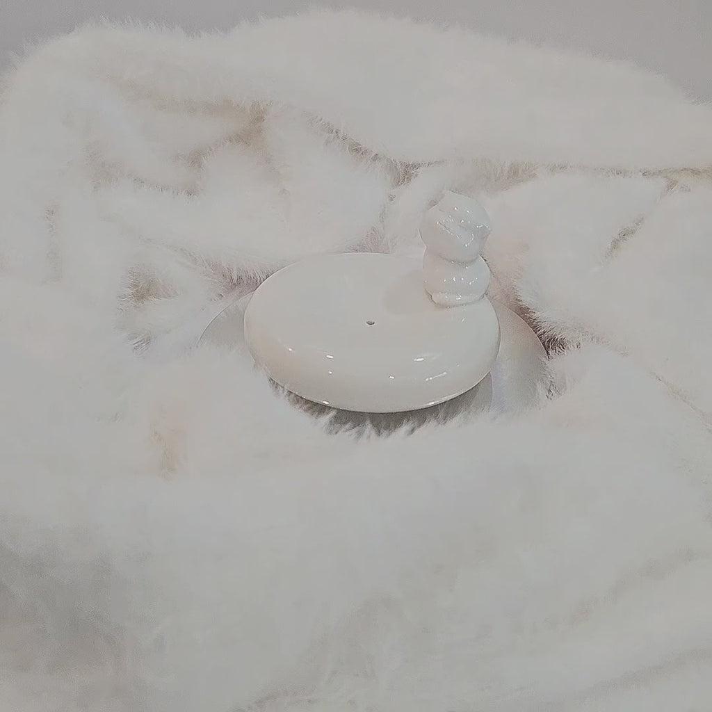 Cat Dish Incense Holder