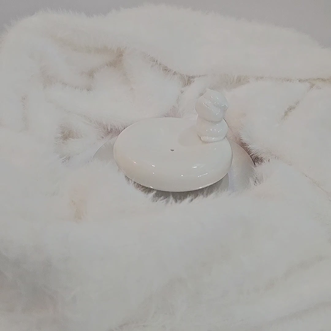 Cat Dish Incense Holder